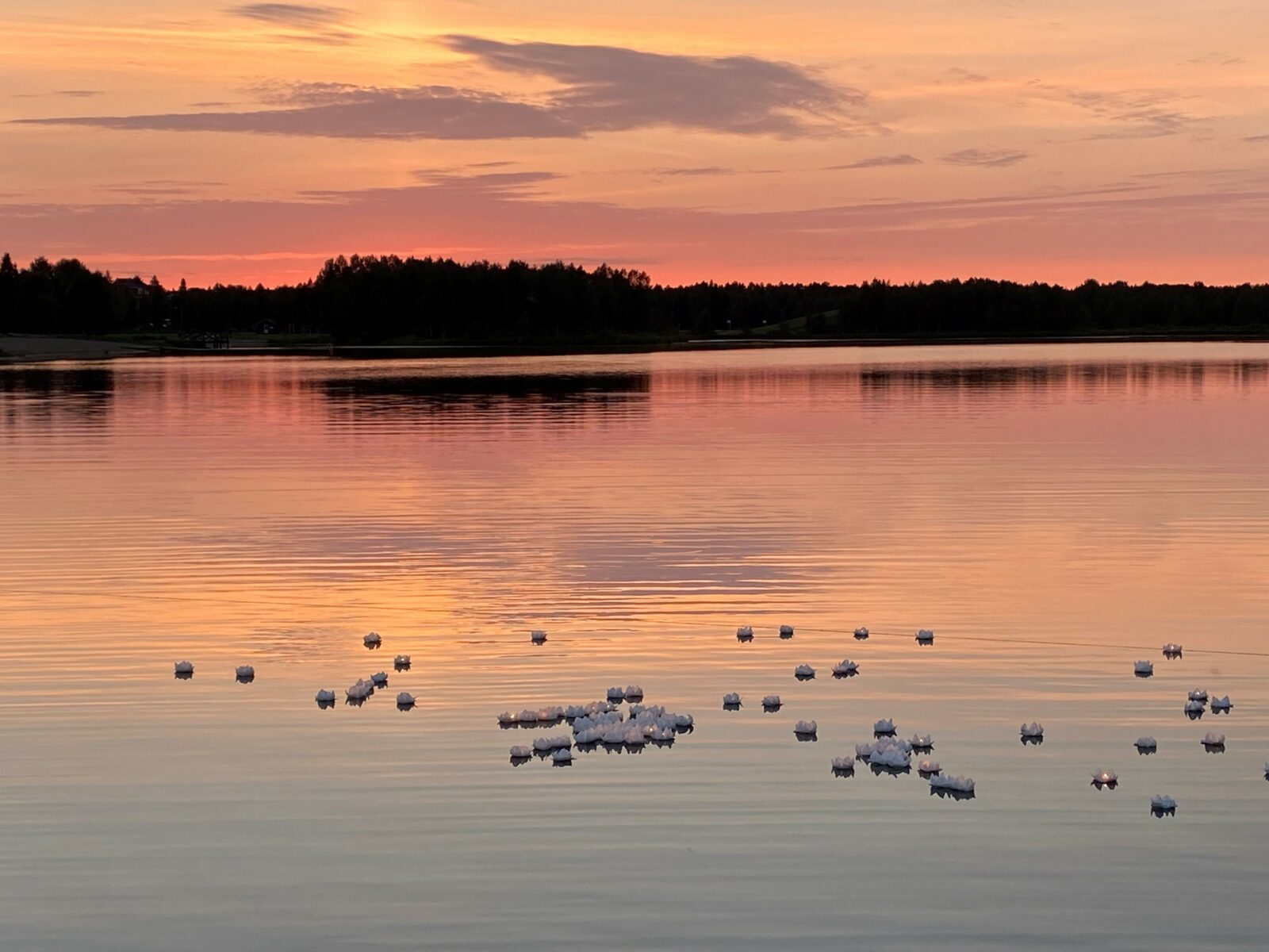 Lummelyhtyjä Kuusamojärvellä