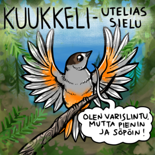 Oranssit viuhkat heiluvat tummassa kuusikossa ja trooppinen kujerrus kuluu kynttiläkuusiholvistossa. Olen varislintu, okei, mutta söpöin!