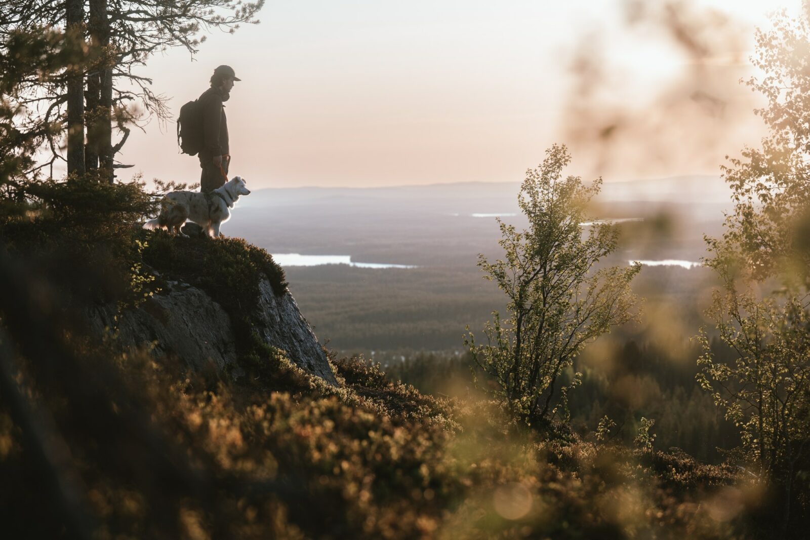 Vaeltaja seisoo koiran kanssa kallion laidalla ja katsoo iltaista ruskamaisemaa.